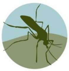 as west nile season starts, health dept. begins mosquito monitoring
