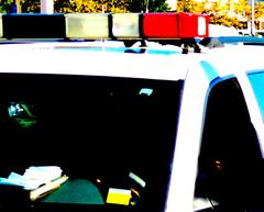 incident report: catalytic converter theft, house party fight