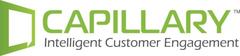 Capillary Technologies Wins at the Marketing Magazine's Agency of the Year Awards 2013